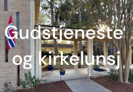 Bildebeskrivelse